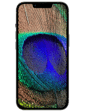 Apple iPhone 16e