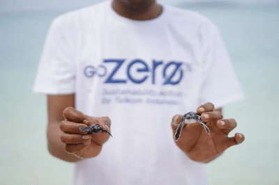 Peringati World Turtle Day Telkom Lakukan Pelepasan Anak Penyu di Kapoposang