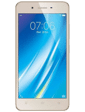 Vivo Y53